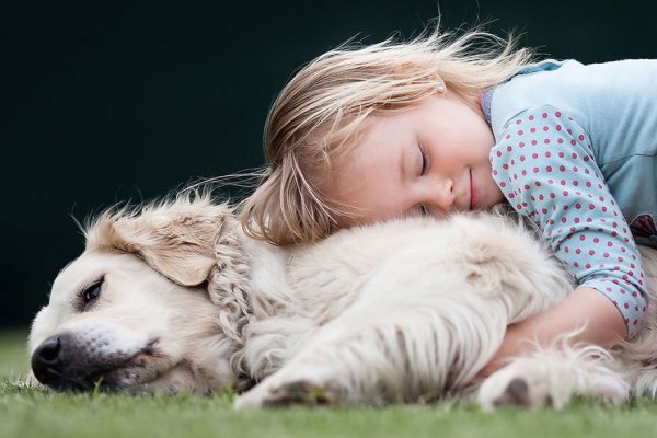 Снимка: Child Photo Competition