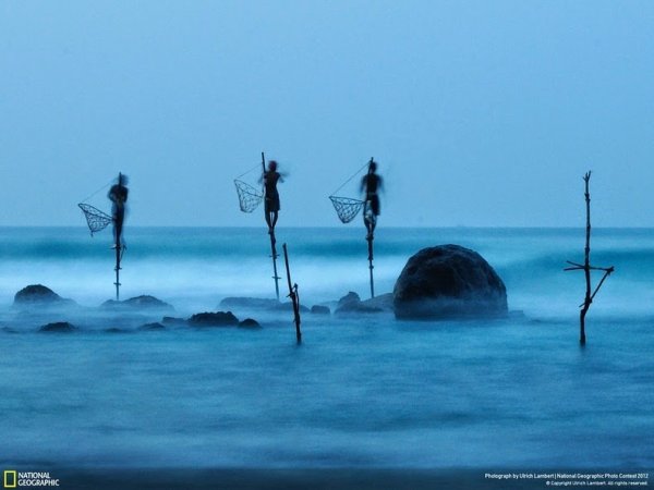 Снимка: nationalgeographic.com