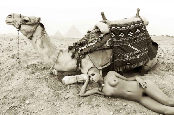Снимка: CEN/Marisa Papen/Jesse Walker