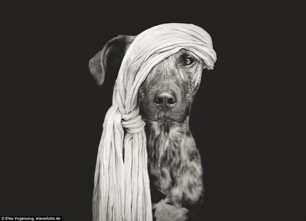 Снимка: Elke Vogelsang