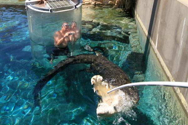 Снимка: crocosauruscove.com