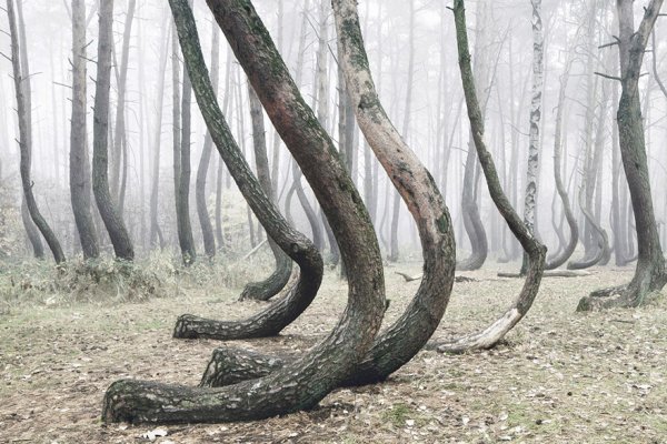 Снимка: Kilian Schoenberger Photography