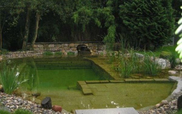 Снимка: NaturalSwimmingPools