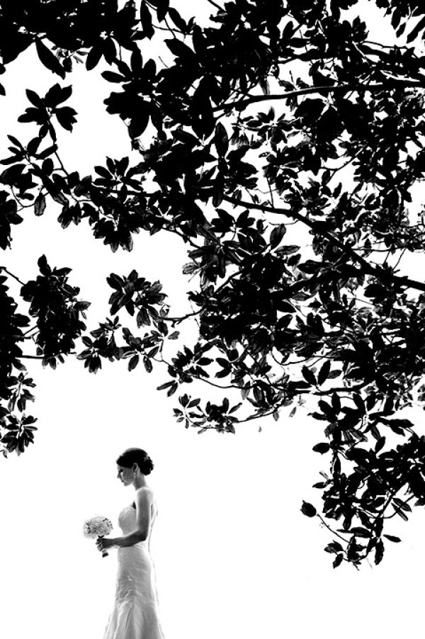 Снимка: www.ispwp.com