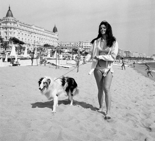 Ани Дюпре през 1968 г.Снимка: Huffschmitt / Sipa / East News
