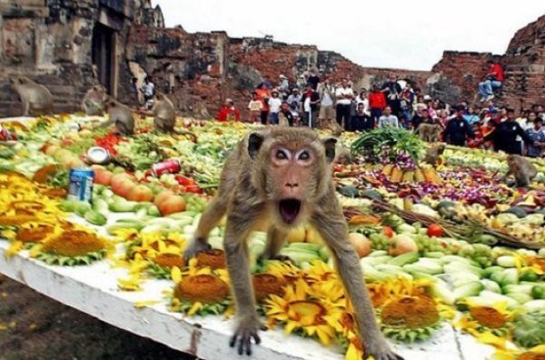 Снимка: festivals-holidays.com