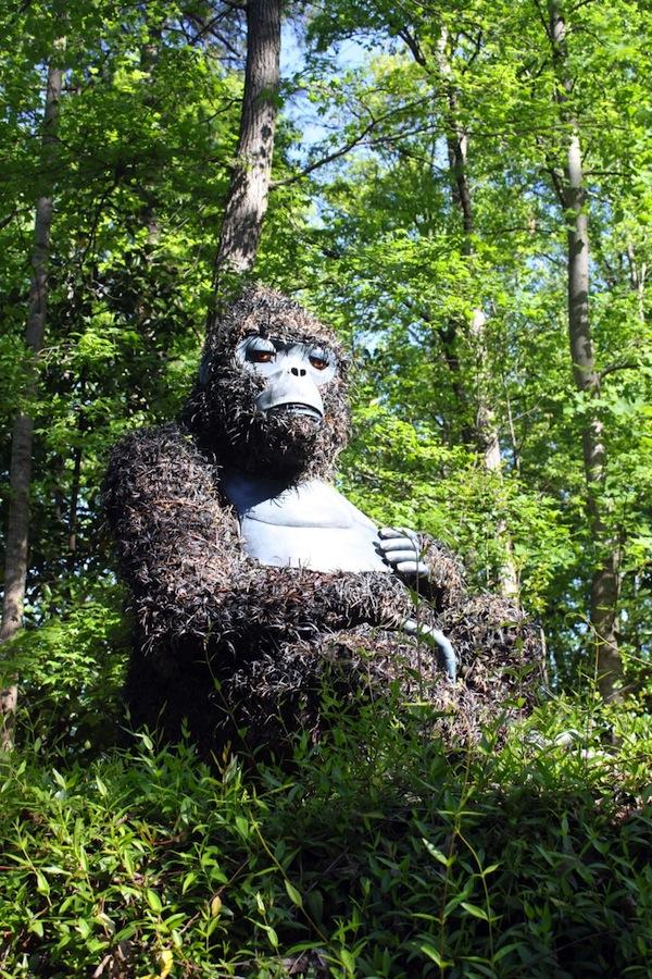 Снимка: Atlanta Botanical Gardens