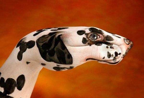 Снимка: Guido Daniele