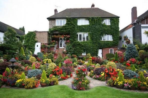 Снимка: Four Seasons Garden