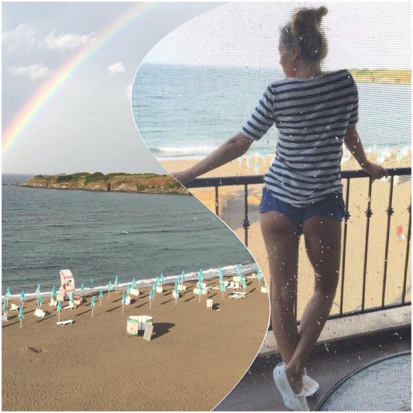 Камелия, Снимка: Instagram