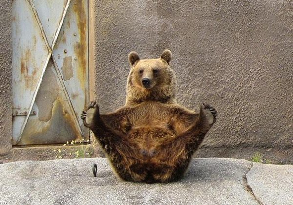 Снимка: BoredPanda
