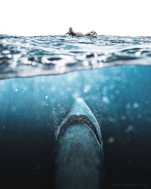  Instagram/truthbynature