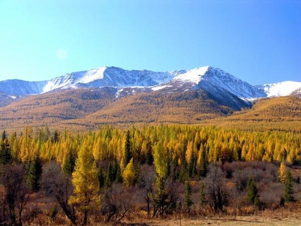 Снимка: Flickr