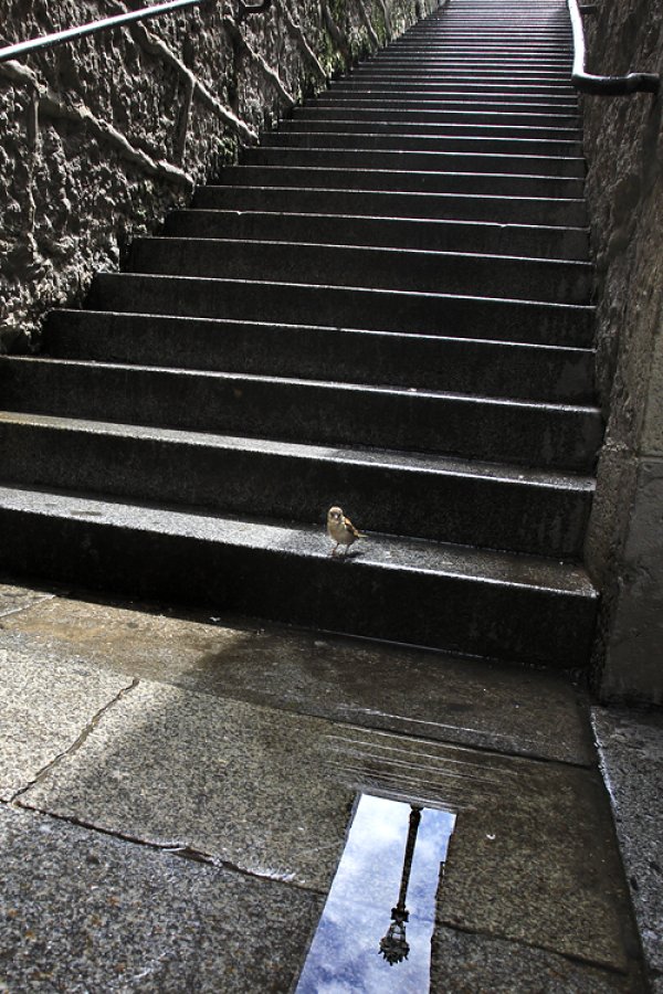 Снимка: Christophe Jacrot