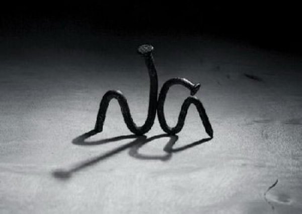 Снимка: http://www.zootpatrol.com