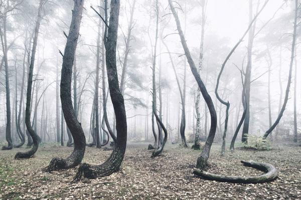 Снимка: Kilian Schoenberger Photography
