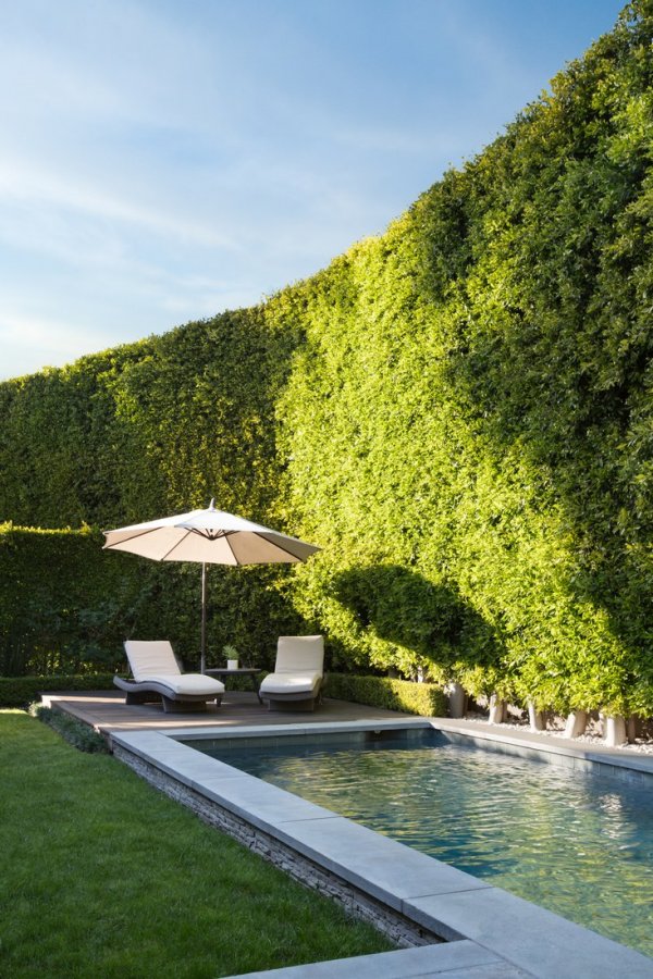 Снимка: architecturaldigest.com