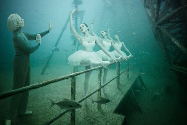 Снимка: designboom.com