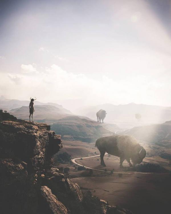  Instagram/truthbynature