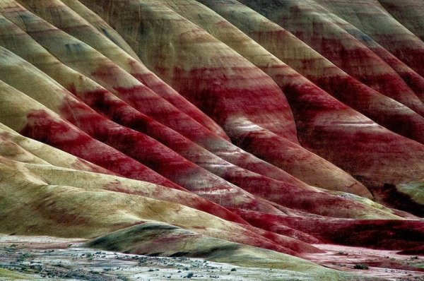 Снимка: Flickr