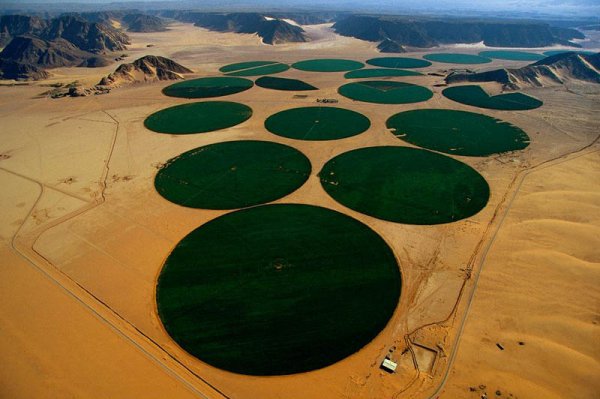 Йордания... Снимка: Yann Arthus Bertrand