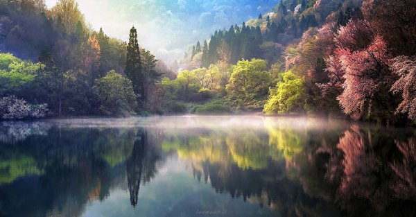 Снимка: Jaewoon U