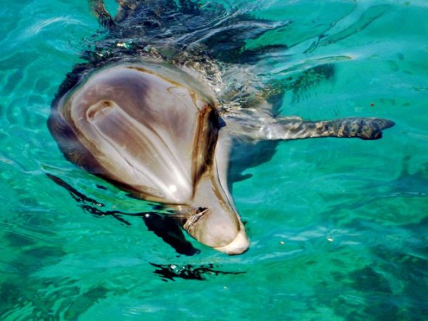 Снимка: worldfortravel.com