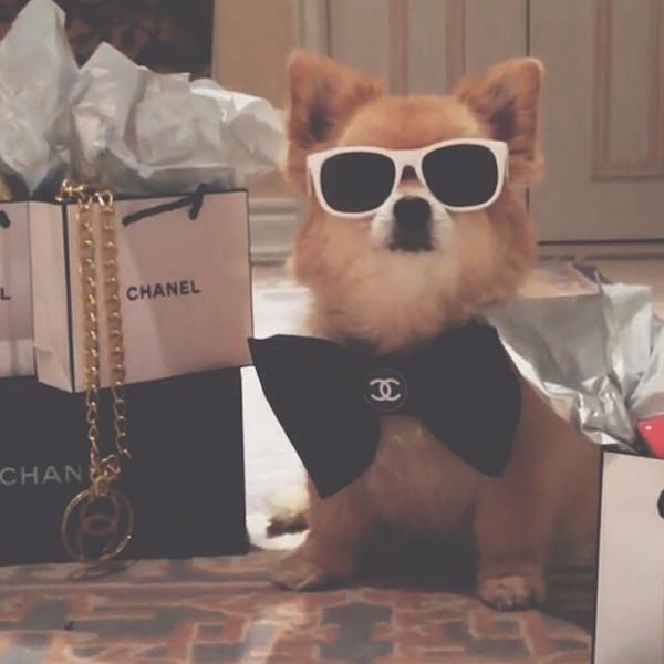Снимка: Instagram