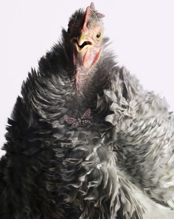 Снимка: Peter Lippmann