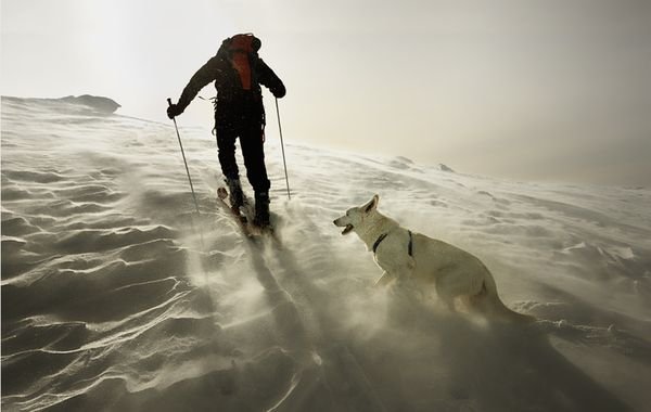 Снимка: acrisdesign.com