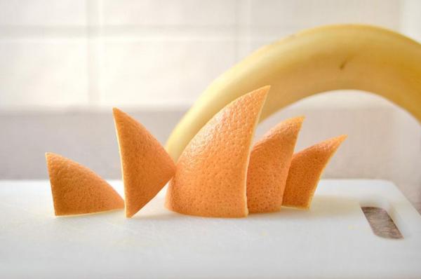 Снимка: Domenic Bahmann