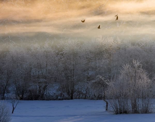 Снимка: acrisdesign.com