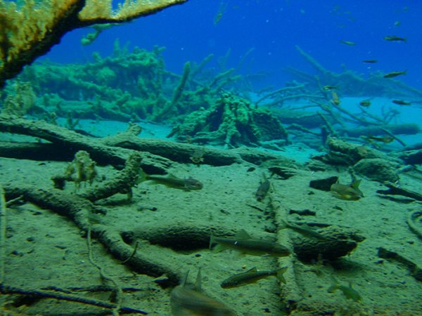 Снимка: www.jiuzhai.com