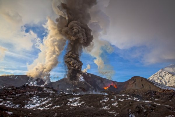 Снимка: nat-geo.ru