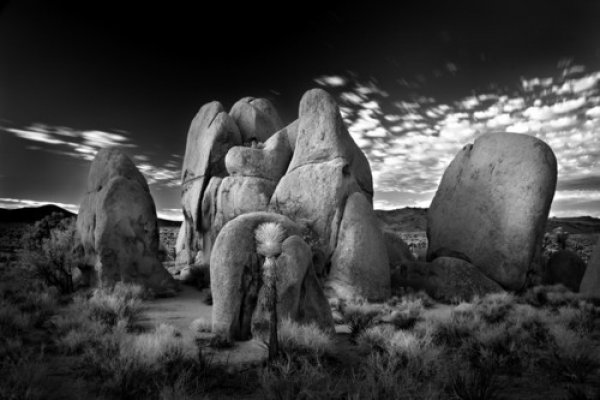 Снимка: Mitch Dobrowner