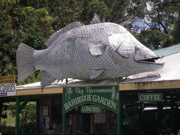 Ресторантът The Big Barramundi Barbecue Gardens в Дейнтри предлага много местни и екзотични ястия  месо от крокодил, кенгуру и разбира се, рижата барамунди. Огромна риба от фиберглас посреща гостите на входа на заведението.Снимка: flickr.com