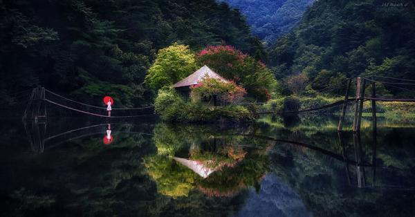 Снимка: Jaewoon U