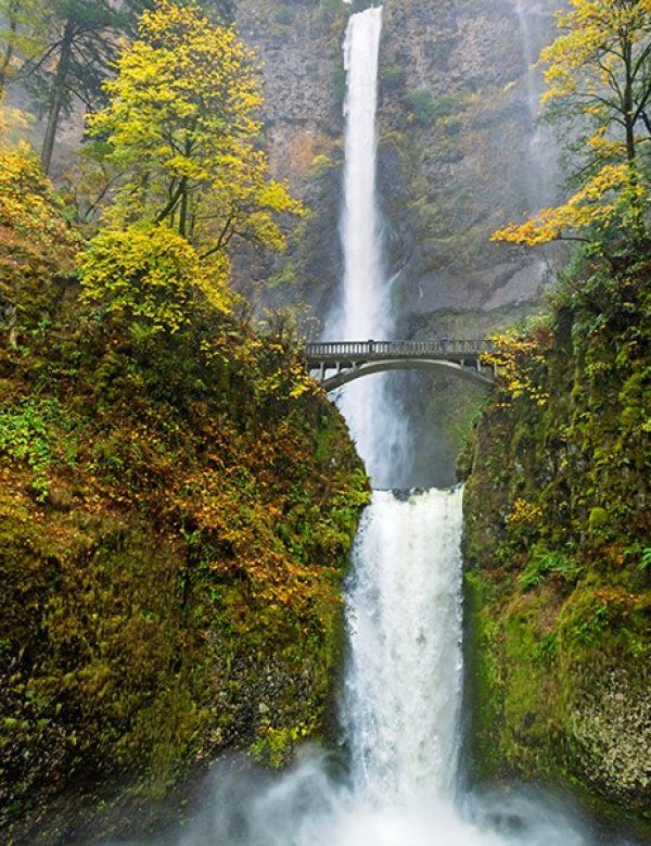 Пешеходен мост на водопадите "Multnomah" в Орегон, САЩ. Снимка; architecturaldigest.com