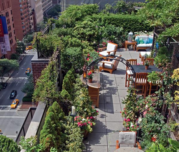 Снимка: Rooftop Gardens