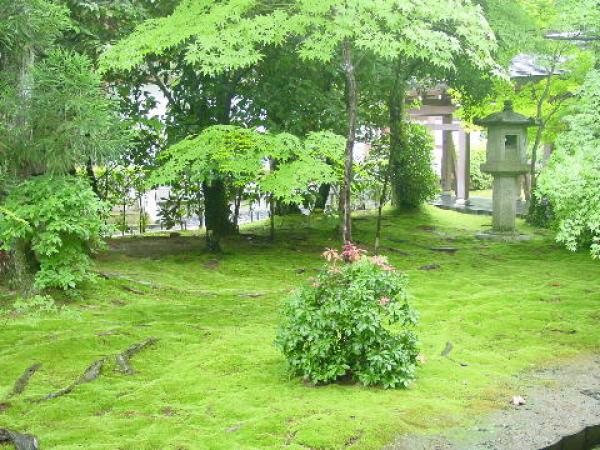 Градината  Рюанджи- Киото,Япония (Ryōan-ji – Japan)Снимка: gojapango.com