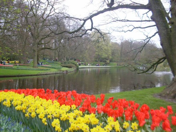Снимка: www.keukenhof.nl