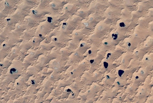 Снимка: earthobservatory.nasa.gov
