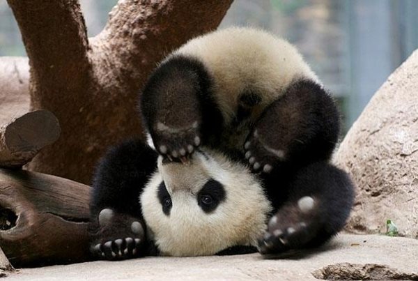 Снимка: BoredPanda