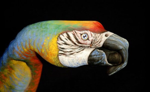 Снимка: Guido Daniele