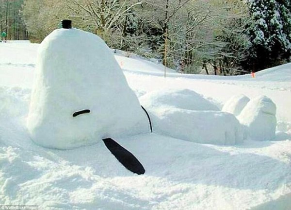 Снимка: Imgur