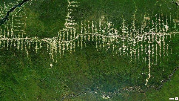 Амазония, БразилияСнимка: boredpanda.com