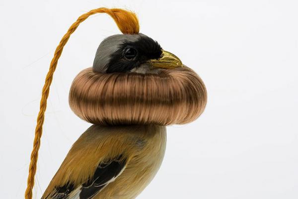 Снимка: designboom.com