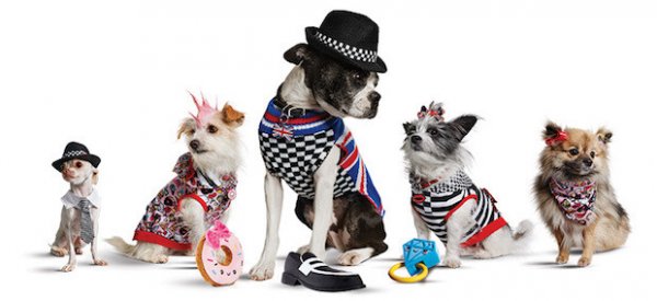 Снимка: community.petco.com