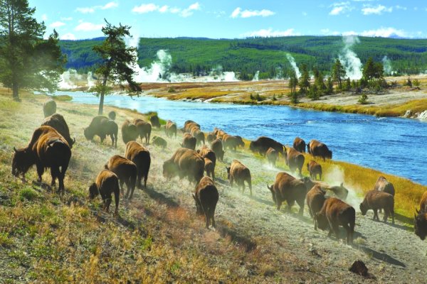Снимка: Huntsman Springs