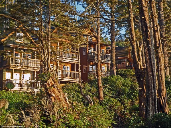 Снимка: Terrace Beach Resort